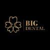 6a8a30 phòng khám nha khoa big dental   logo